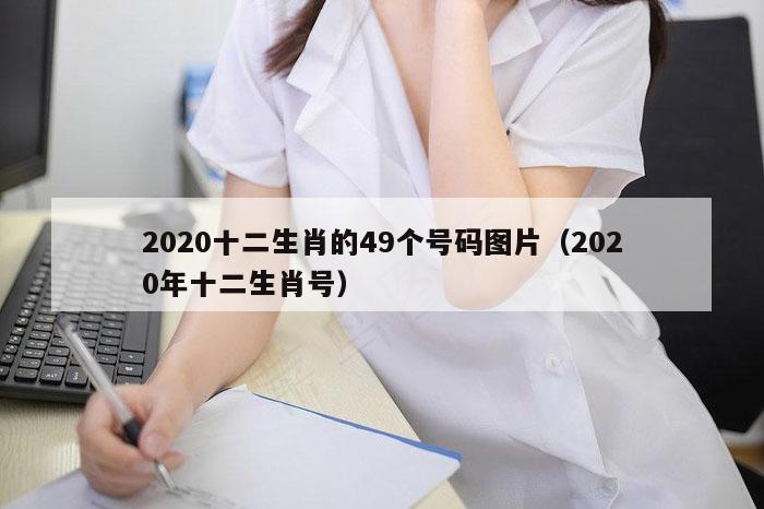 2020十二生肖的49个号码图片（2020年十二生肖号）